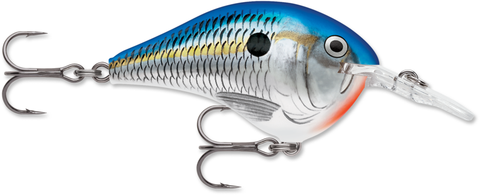 Rapala DT-6 Blue Shad