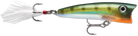 Rapala X-Rap Pop 07 Yellow Perch