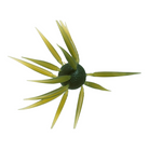Hideup Coike Fish Elastomer Creature Bait Watermelon