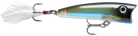 Rapala X-Rap Pop 07 Moss Back Shiner