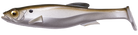 Megabass Mag Draft MB Shad