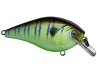 6th Sense Crush 100X Warmouth (D)