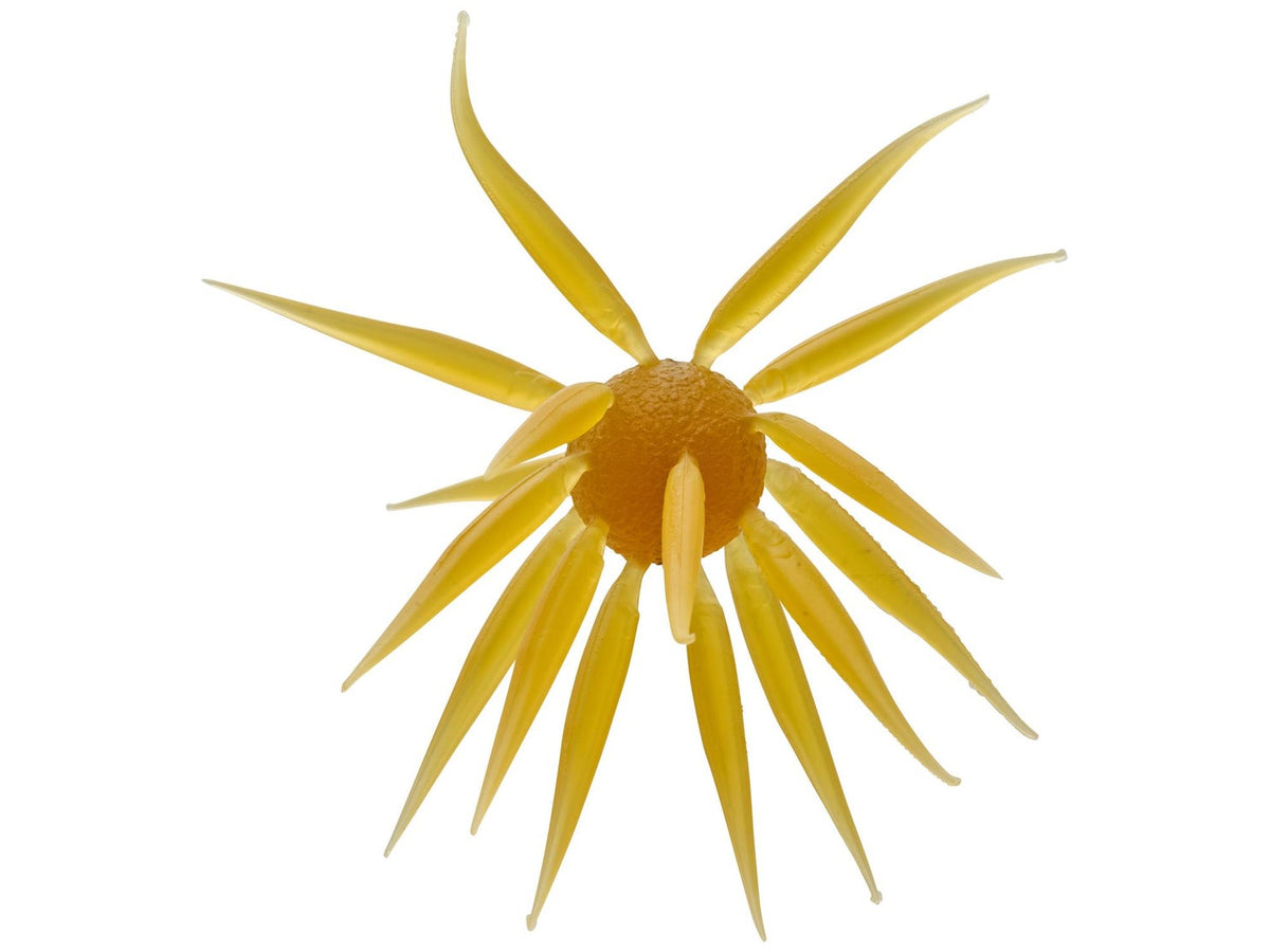 Hideup Coike Fish Elastomer Creature Bait Kuririnkintoki
