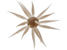 Hideup Coike Fish Elastomer Creature Bait Ebi Dappi