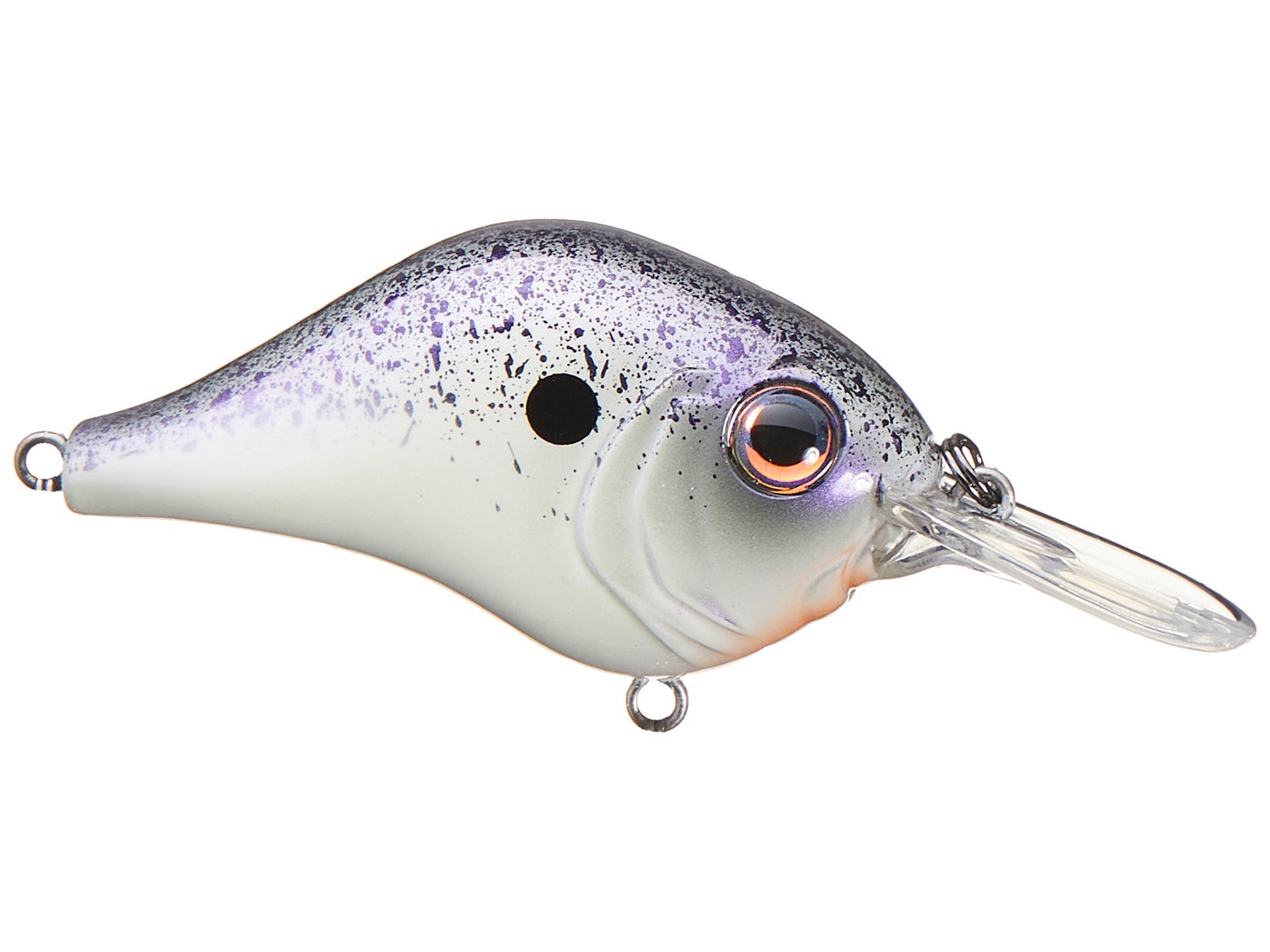 Bill Lewis MR-6 Purple Nurple - MR6-802