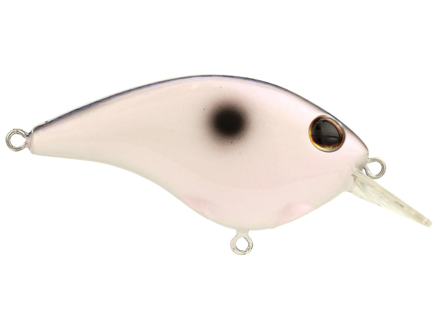 Berkley Frittside 5 Junior Kentucky Blue