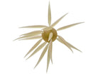 Hideup Coike Fish Elastomer Creature Bait Clear Wakasagi