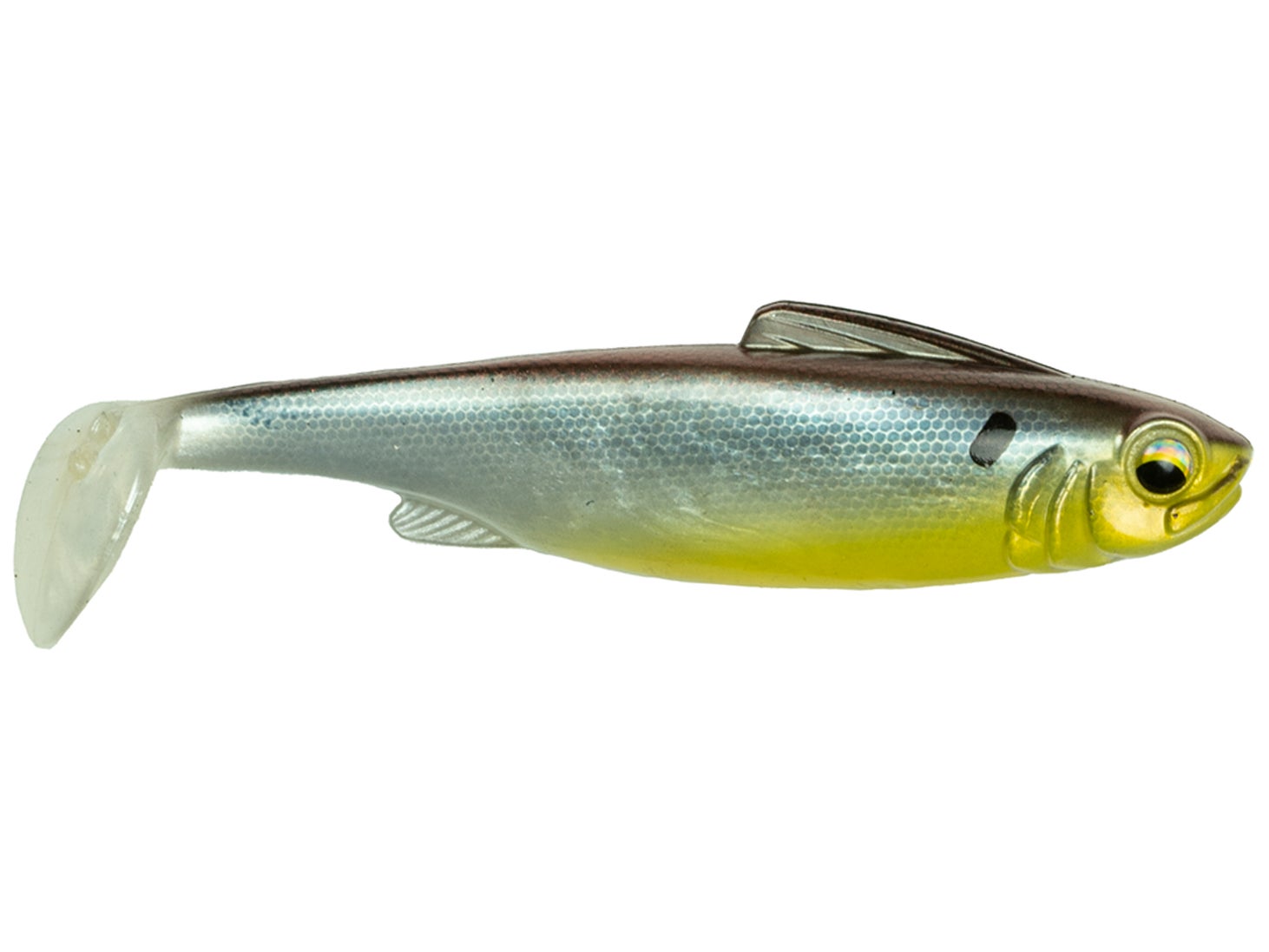 6th Sense Hangover Barfish