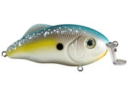 Strike King Hybrid Hunter Jr.