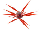 Hideup Coike Fish Elastomer Creature Bait Scuppernong