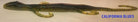 Double Z Lures 8" Lizard(D)