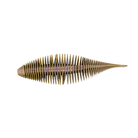 Geecrack Bellows Shad Homeless Magic