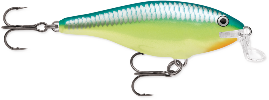 Rapala Shad Rap Shallow Runner 07