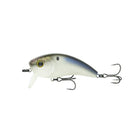 6th Sense Movement 80 Wake 4K Shad