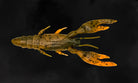 Toad Thumper Bad Craw Bad Craw