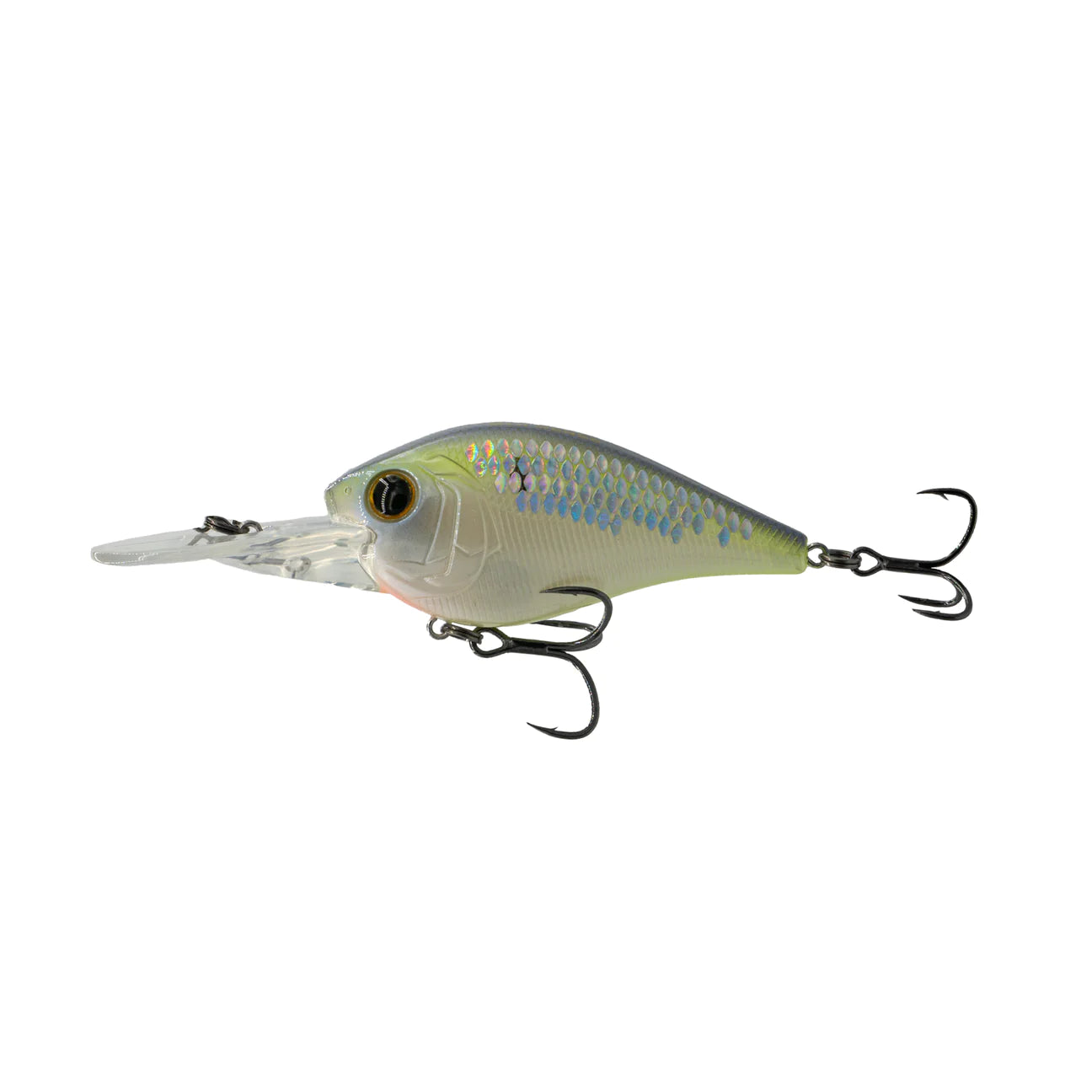 6th Sense Crush 250MD Citrus Scales