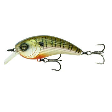 6th Sense Movement L7 4K Bluegill(D)