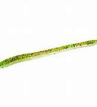 Zoom Trick Worm