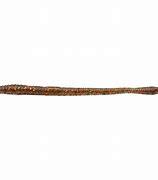 Zoom Trick Worm
