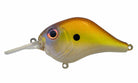 Bill Lewis MR-6