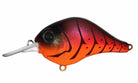 Bill Lewis MR-6