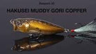 Megabass Pop Max