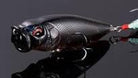 Megabass Pop Max