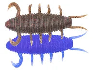 Geecrack Bugpee Cobait Blue Craw
