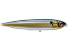 Yellow Magic Havana Threadfin