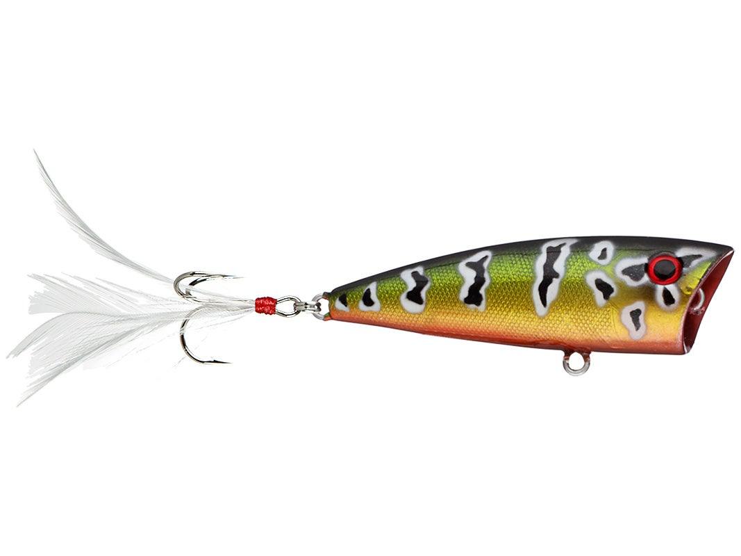 Yellow Magic 1/4 Poppers Peacock