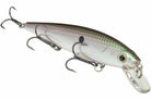 Strike King KVD 300 Deep Jerkbait