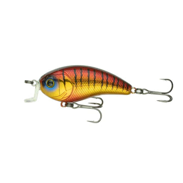 6th Sense Swank 66x Rayburn Gill
